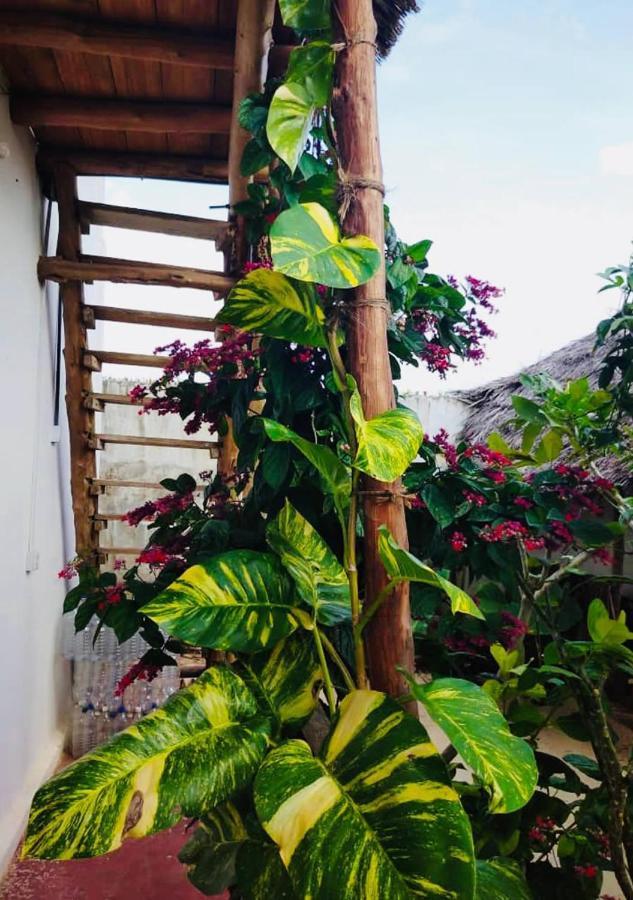 Kilimani House Bed & Breakfast Nungwi Exterior photo